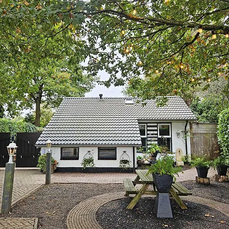 Scenic Stay Near Town & Lake Voorthuizen