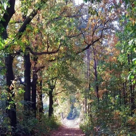 Vakantiehuis Scenic Near Town & Voorthuizen