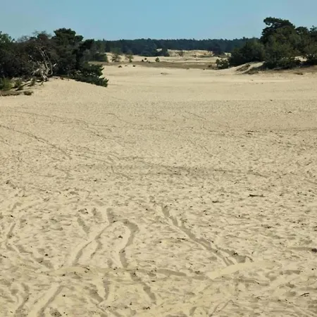 Scenic Near Town & Voorthuizen