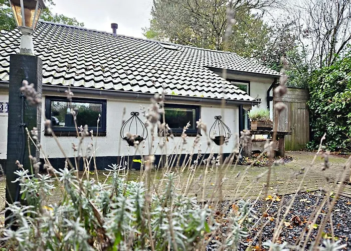 Scenic Near Town & Semesterbostad Voorthuizen