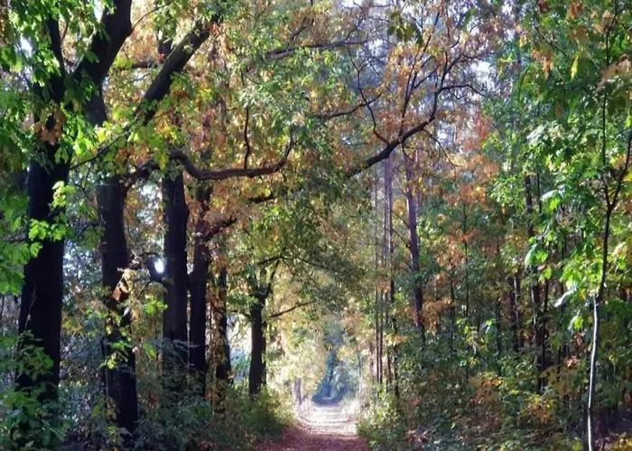 Semesterbostad Scenic Near Town & Voorthuizen